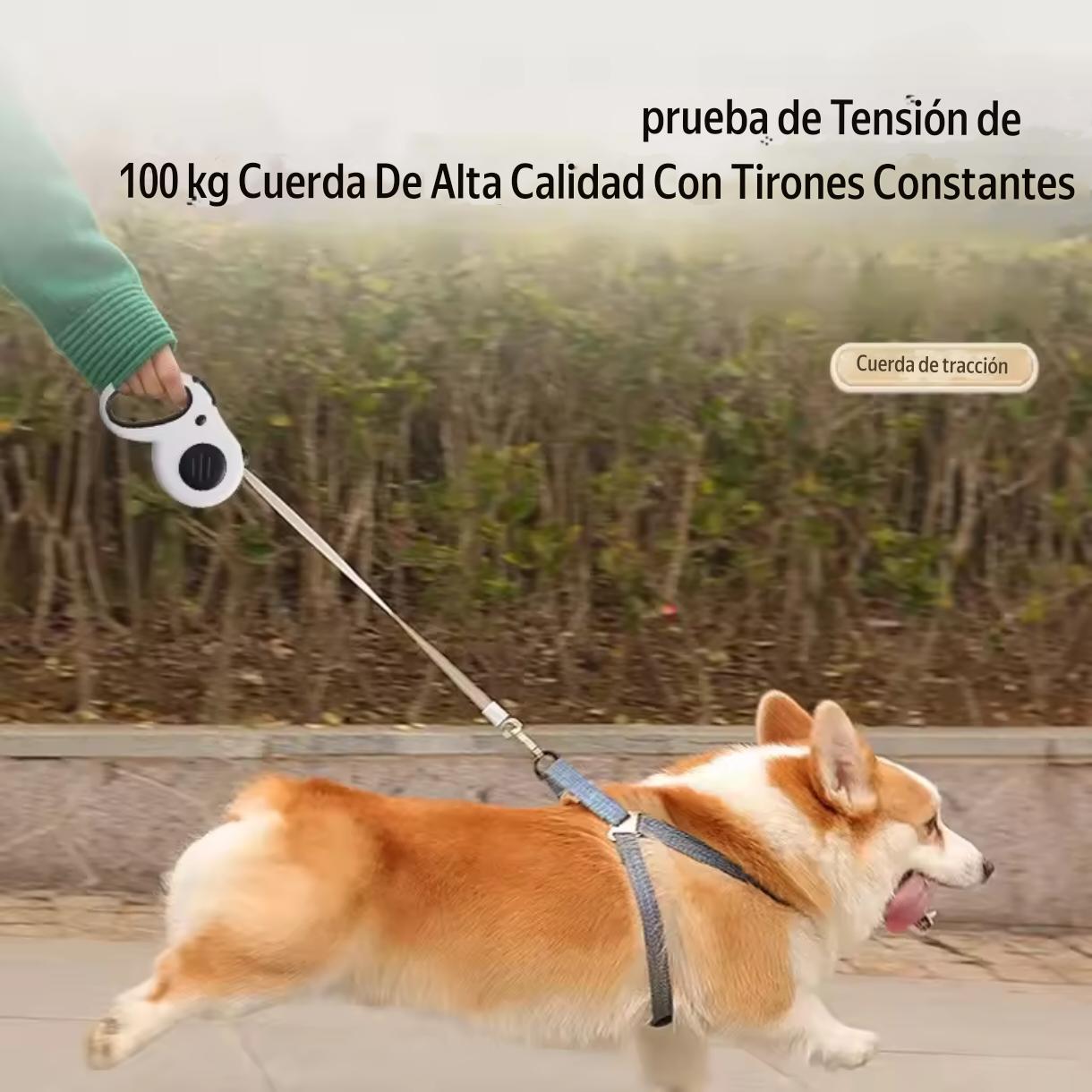 Correa Para Mascota 5m