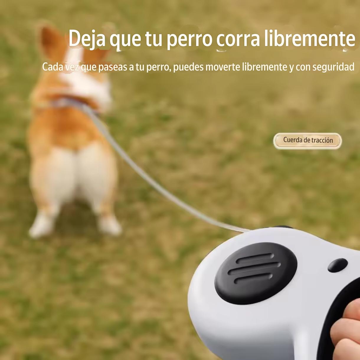 Correa Para Mascota 5m