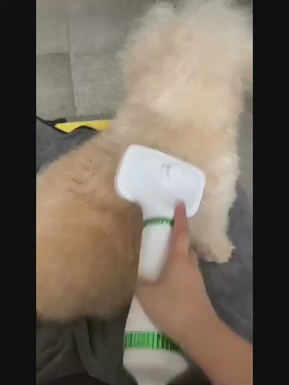 Cepillo Secador De Mascotas